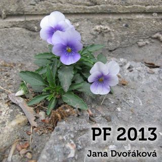 PF 2013